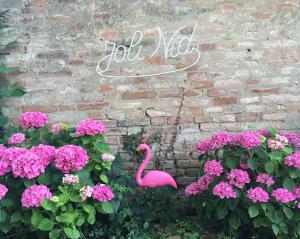 A garden outside Villa Pacchioni