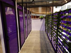 un couloir avec des fleurs et des plantes violettes dans l'établissement Purple Monkey Hostel, à Medellín