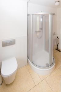 een witte badkamer met een douche en een toilet bij Weingut Mariaberg in Meißen