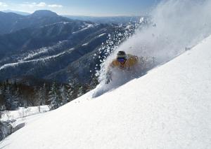 une personne fait du ski sur une piste enneigée dans l'établissement Hotel Resort Inn Niseko, à Niseko