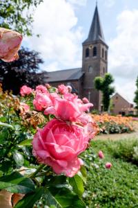 Zahrada ubytování B&B Orgel Thuis + 8 fotografií