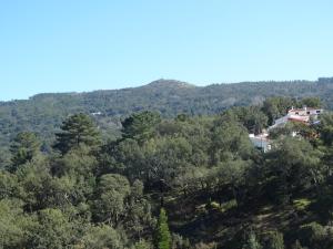 a view of a mountain with trees and a house at Hospedaria Descansa Pernas in Monchique +14 photos