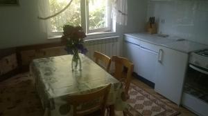 Köök või kööginurk majutusasutuses Apartments Jaksa