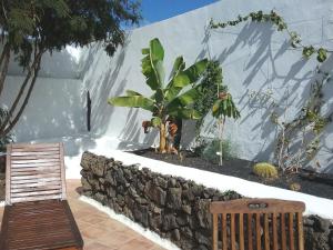 a bench and a potted plant on a stone wall at Casa Rural "La Molina" in Máguez