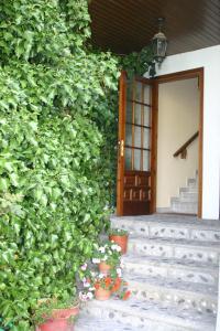 an entrance to a house with a green wall at Casa Raspa in Bielsa