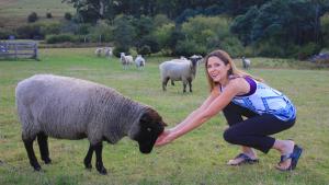 a woman is petting a sheep in a field at Ashdowns of Dover in Dover