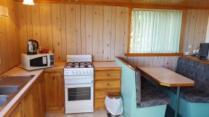 a kitchen with a stove and a microwave at Scamander Tourist Park in Scamander