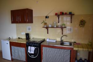 Kuchyň nebo kuchyňský kout v ubytování Apartamento Fritzi