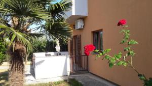 Zahrada ubytování Apartments Tea