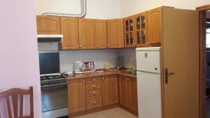 Kuchyň nebo kuchyňský kout v ubytování Apartments Tea
