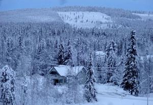 Lapland Snow Cabin v zimě