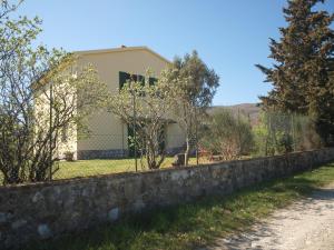 A garden outside Santa Margherita