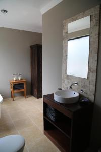 a bathroom with a sink and a mirror at Natures Haven in Roodepoort