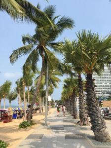 パタヤ・サウスにあるアパートメンツ アット ビュー タレイの一列のヤシの木が建つ浜辺