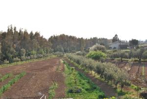 Vonkajšia záhrada v ubytovaní La Casa Di Donato E Maria