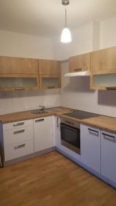 布拉格的住宿－大衛花園塔公寓，厨房配有白色橱柜和炉灶烤箱。
