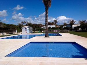 a swimming pool with a palm tree in the middle at Chalet Marivent in Cala en Bosc