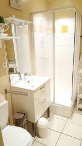 een badkamer met een toilet, een wastafel en een douche bij Aux Cottages du port Honfleur in Honfleur