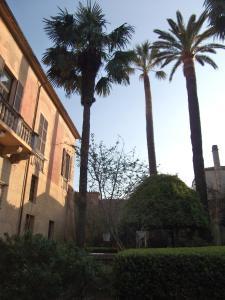 a group of palm trees next to a building at Oddi21 B&B in Albenga