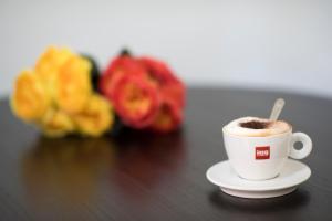 Zestaw do parzenia kawy i herbaty w obiekcie Bed & Breakfast Ellenica