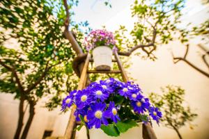 A garden outside Dimora Antica Via MiLord