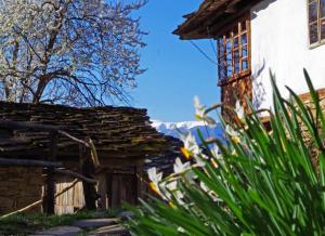 an old house with flowers in front of it at Karashka house in Apriltsi