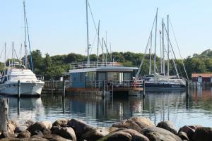 a group of boats docked at a dock at Hausboot FJORDBLIK in Kollund Østerskov