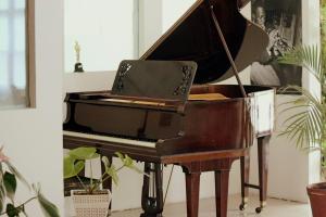 Foto da galeria de Hotel San Martin em Punta del Este