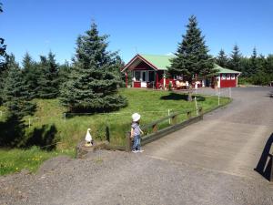 Photo de la galerie de l'établissement Klara's Farm Holidays, à Hella