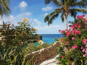 a path to the beach with a palm tree and flowers at Bon Bini Lagun Curacao in Lagun