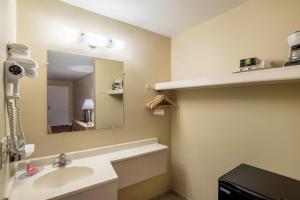 y baño con lavabo y espejo. en Econo Lodge I-40 Exit 286-Holbrook Holbrook, en Holbrook