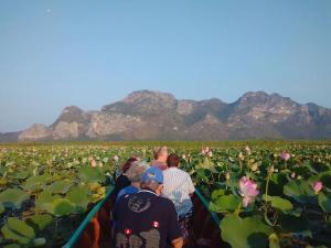 a group of people in a field of water lilies at Lungcha Homestay in Sam Roi Yot