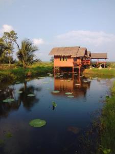 een huis in het midden van een rivier met lelies bij Lungcha Homestay in Sam Roi Yot