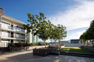 Central Islington Apartments في تاونزفيل: عمارة سكنية فيها شجرة في ساحة الفناء