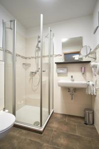 a bathroom with a shower, sink, and toilet at Gasthof Gigl in Neustadt an der Donau