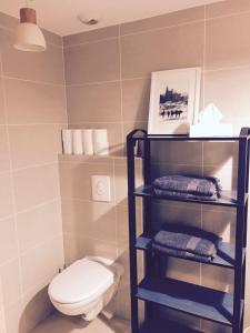 a bathroom with a toilet and a shelf with towels at Villa Picon in Annecy