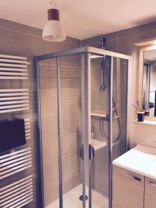 a shower with a glass door in a bathroom at Villa Picon in Annecy