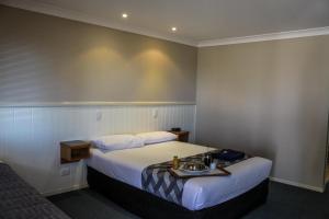 Un pat sau paturi într-o cameră la Dirranbandi Motor Inn