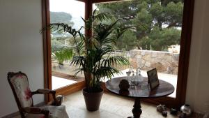 Fotografie z fotogalerie ubytování La Ghisonaise Maison d'hôtes v destinaci Calvi