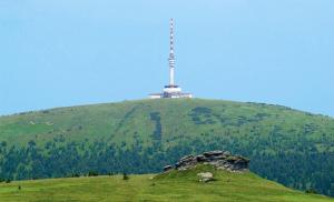 Billede fra billedgalleriet på Turistická chata Švýcarna i Loučná nad Desnou + 15 billeder