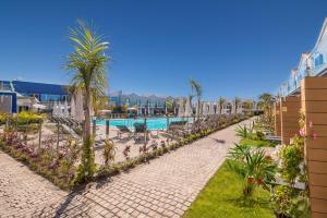 ośrodek z basenem i palmami w obiekcie Hotel LIVVO Los Calderones - Adults recommended w mieście Maspalomas
