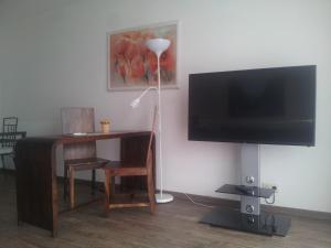TV/Unterhaltungsangebot in der Unterkunft Apartmentcenter Koblenz