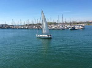 un voilier dans l'eau avec un port de plaisance dans l'établissement Appartement - Ile des pecheurs, au Cap d'Agde