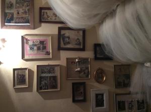 Fotografia z galérie ubytovania La casa del cuore v destinácii Stazzema
