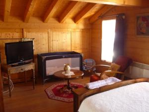 a bedroom with a bed and a tv in a room at SCI Chalet Dempure in Isola 2000