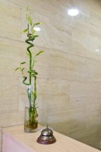 Fotografie z fotogalerie ubytování Hotel Maria Luisa v destinaci Algeciras + 16 fotografií