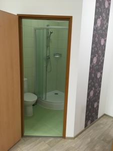 ein Badezimmer mit Dusche und Toilette in der Unterkunft Penzion Janovice in Janovice nad Úhlavou
