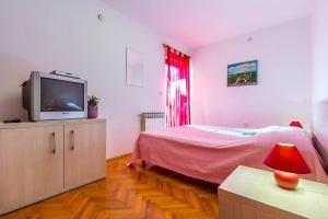 TV a/nebo společenská místnost v ubytování Apartments Valbandon