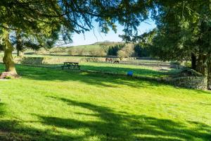 un parque con un banco y un árbol en un campo en The Piggery en Longton