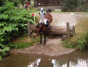una persona en un caballo saltando sobre un tronco en Aparthotel Donaustern, en Asbach-Bäumenheim